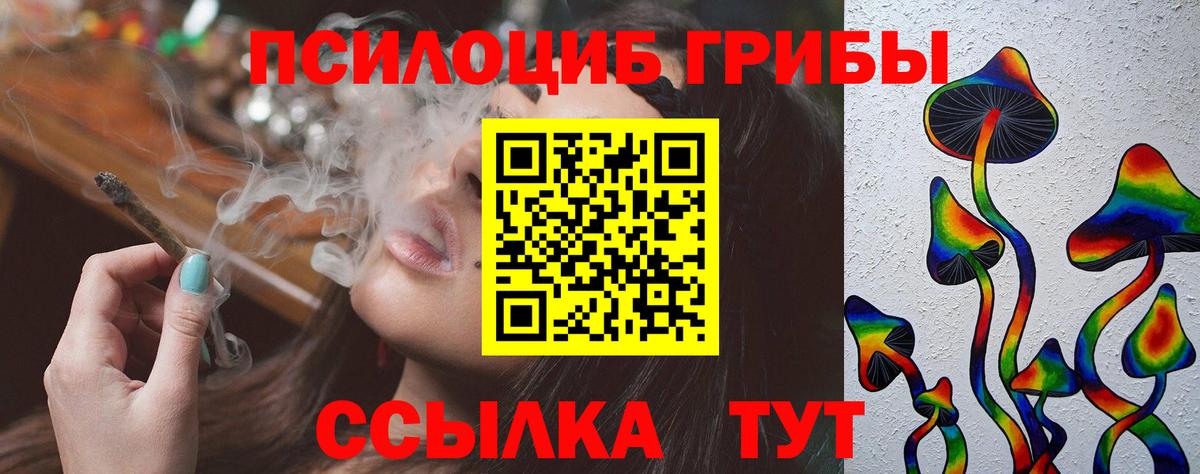Псилоцибиновые грибы мицелий Биробиджан
