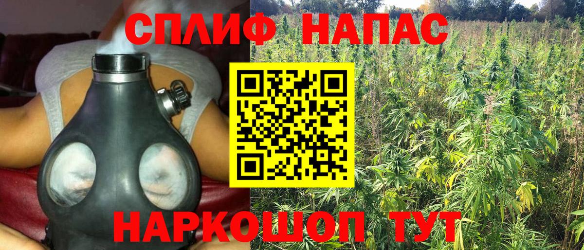Канабис планчик  Бошки марихуана AK-47  Вход с VPN  Биробиджан  Шишки марихуана ГИДРОПОН  Марихуана VHQ 